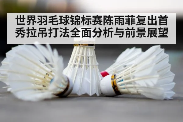 badminton shuttlecock court